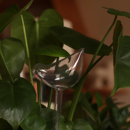 Bird Shaped Self Watering Bulb