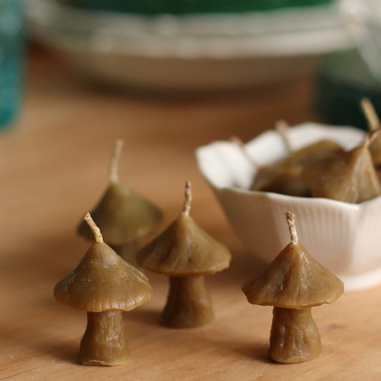 The Wax Pantry  | Tiny Mushroom Beeswax Birthday Candle