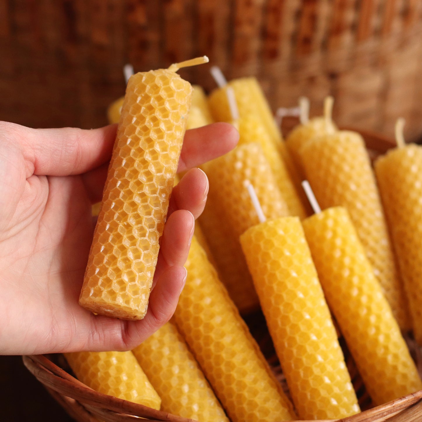 The Wax Pantry  | Honeycomb Beeswax Tapers
