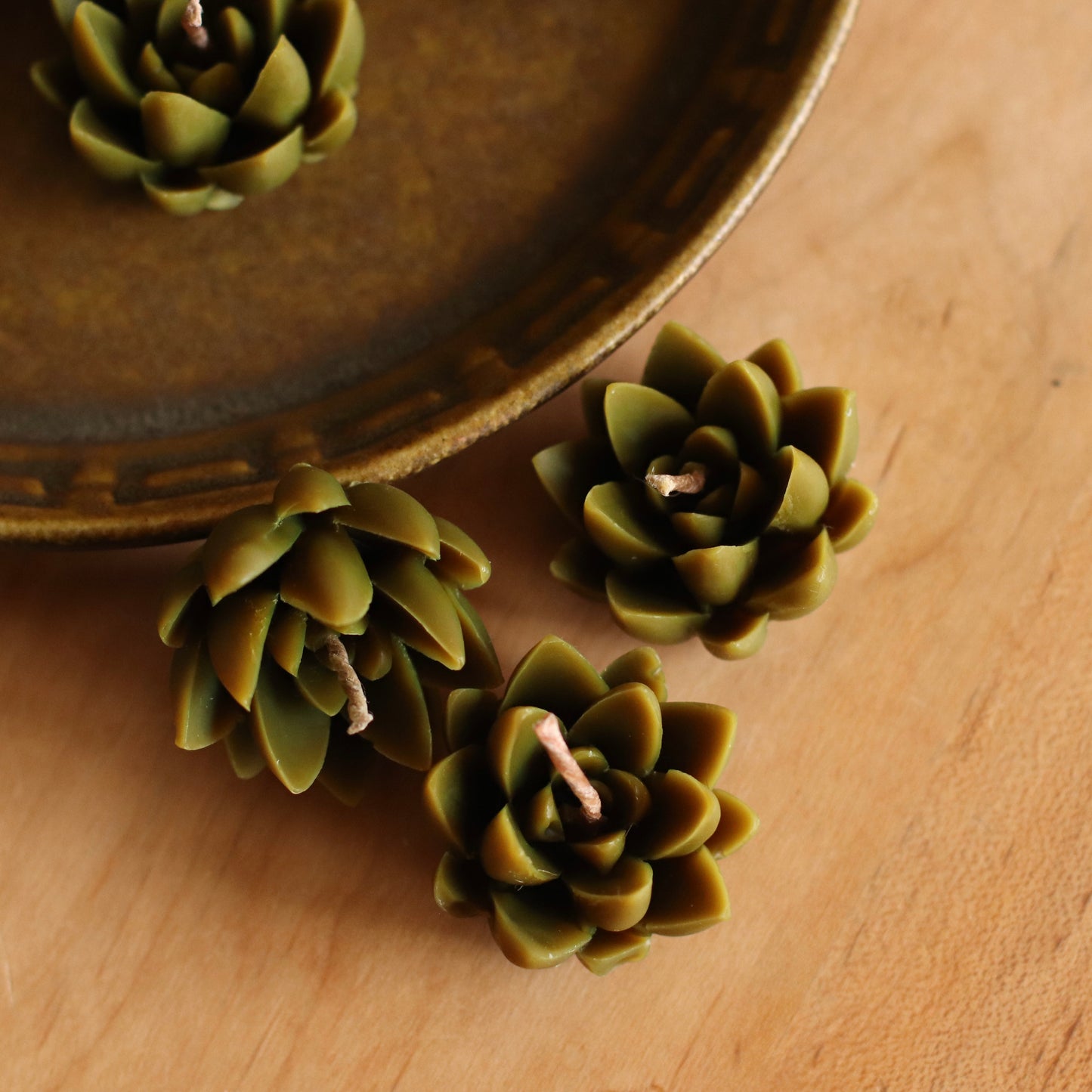 The Wax Pantry  | Mini Yucca Cactus Beeswax Candle