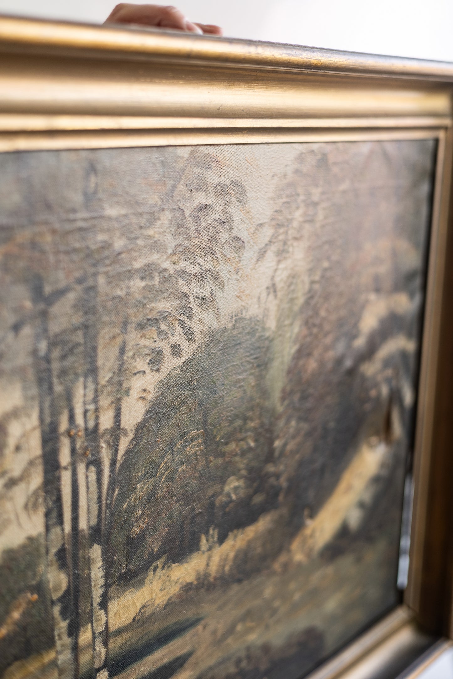 Dune Vintage Art | Birch Trees in Forest Painting Circa Late 1800s * Pick Up Only
