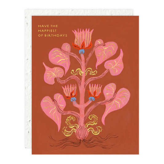 Seedlings | Have the Happiest of Birthdays