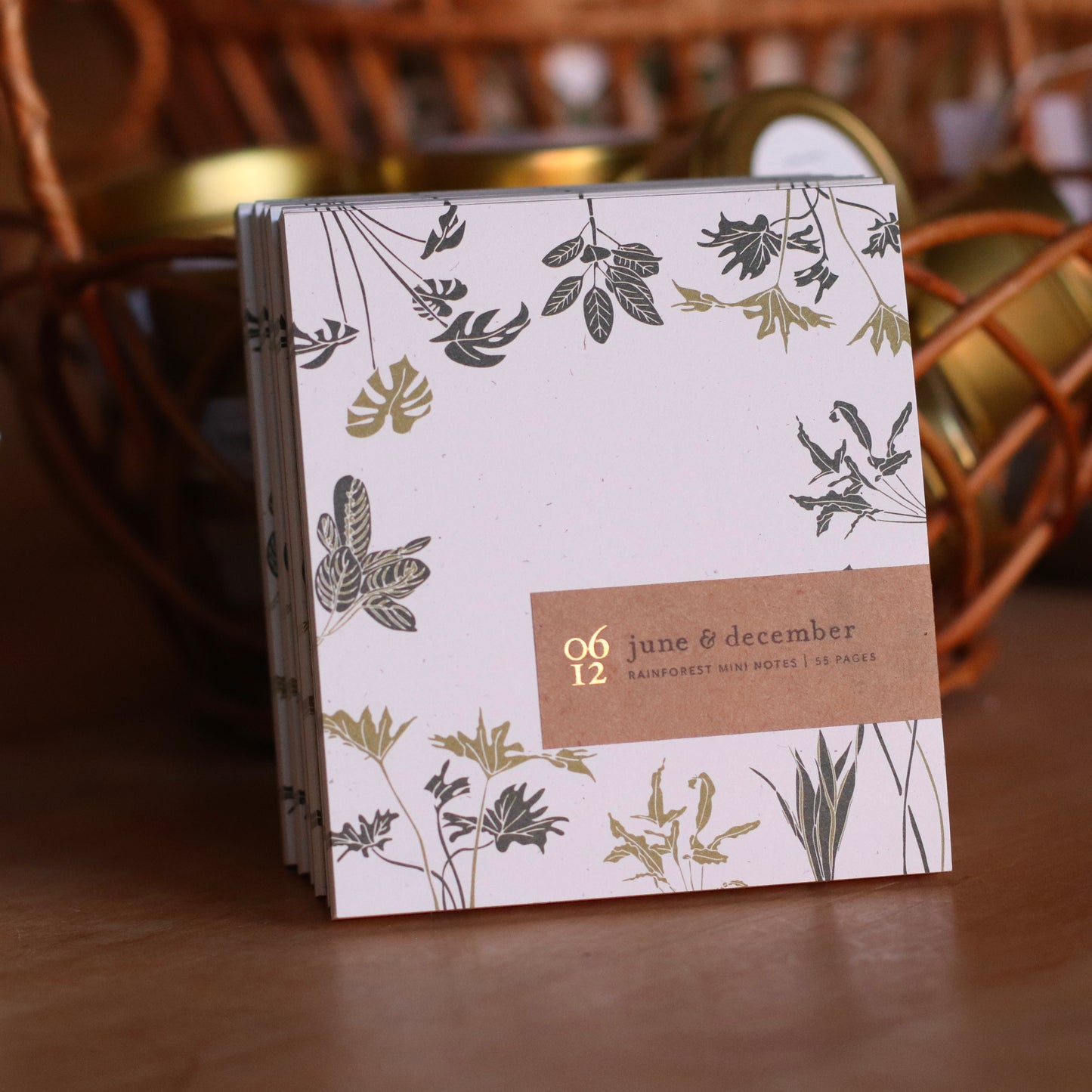 June & December | Mini Notes, Rainforest