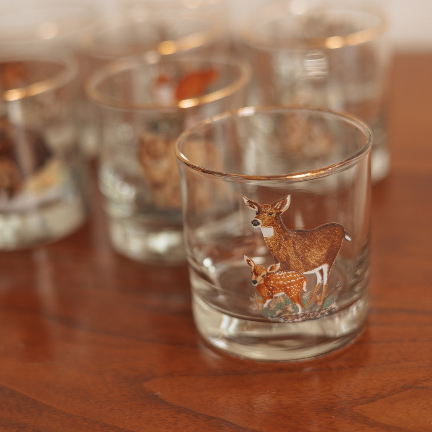 Vintage 'Wild Creatures' On the Rocks Glasses, Set of 8
