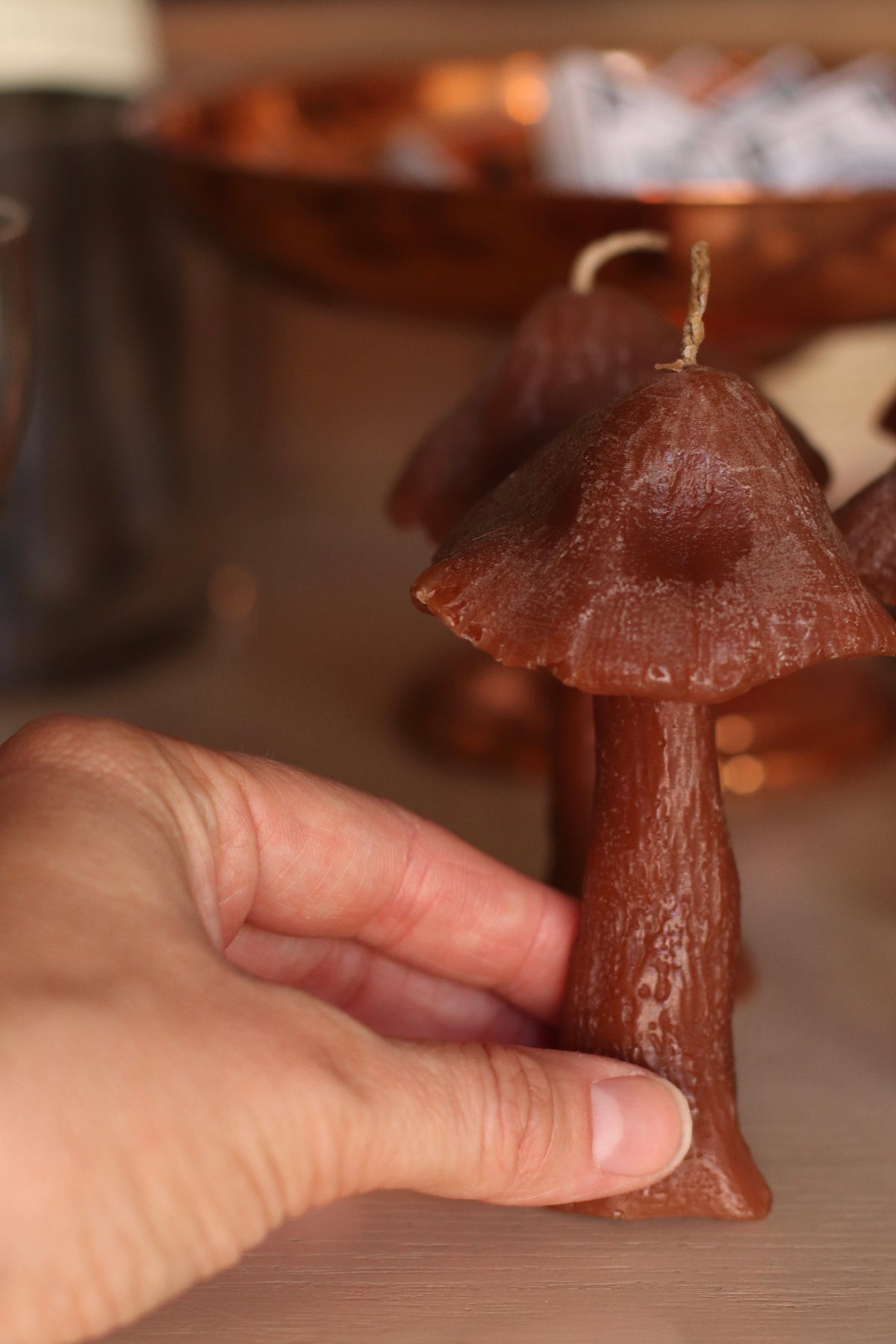The Wax Pantry  | Parasol Mushroom