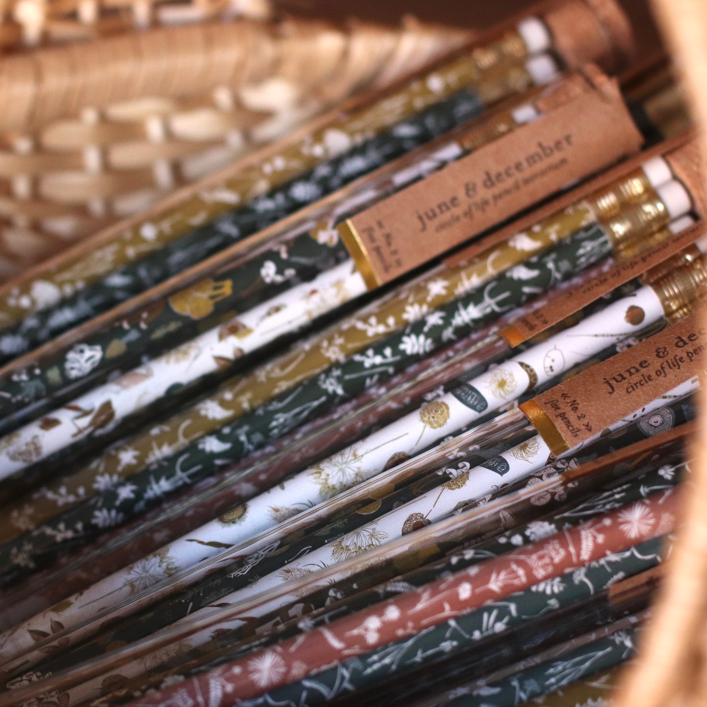 June & December | Pencil Terrarium, Circle Of Life