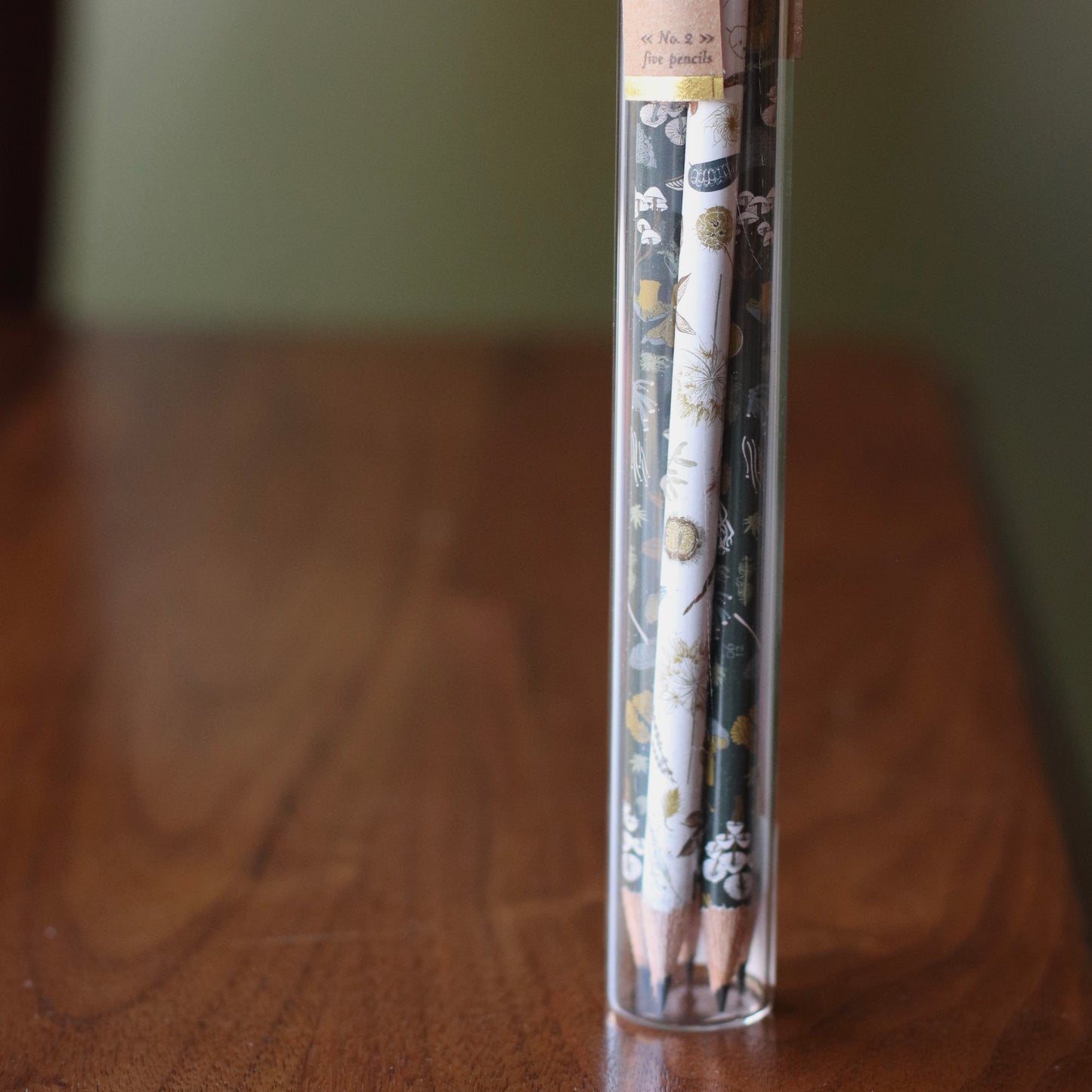 June & December | Pencil Terrarium, Circle Of Life