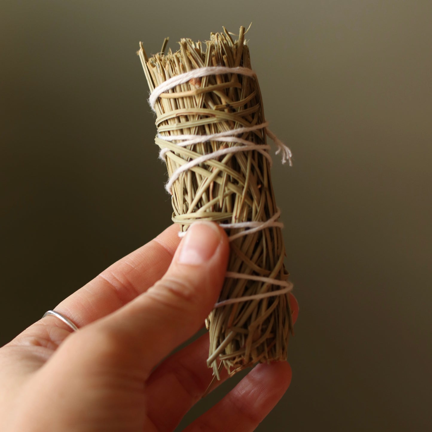 Dune Decor | Pine Herb Wand