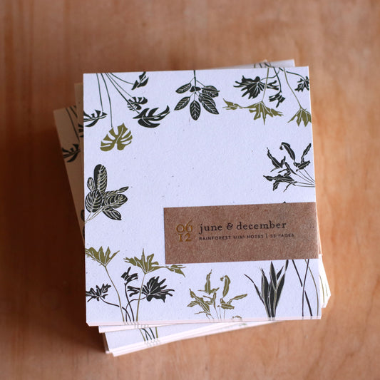 June & December | Mini Notes, Rainforest