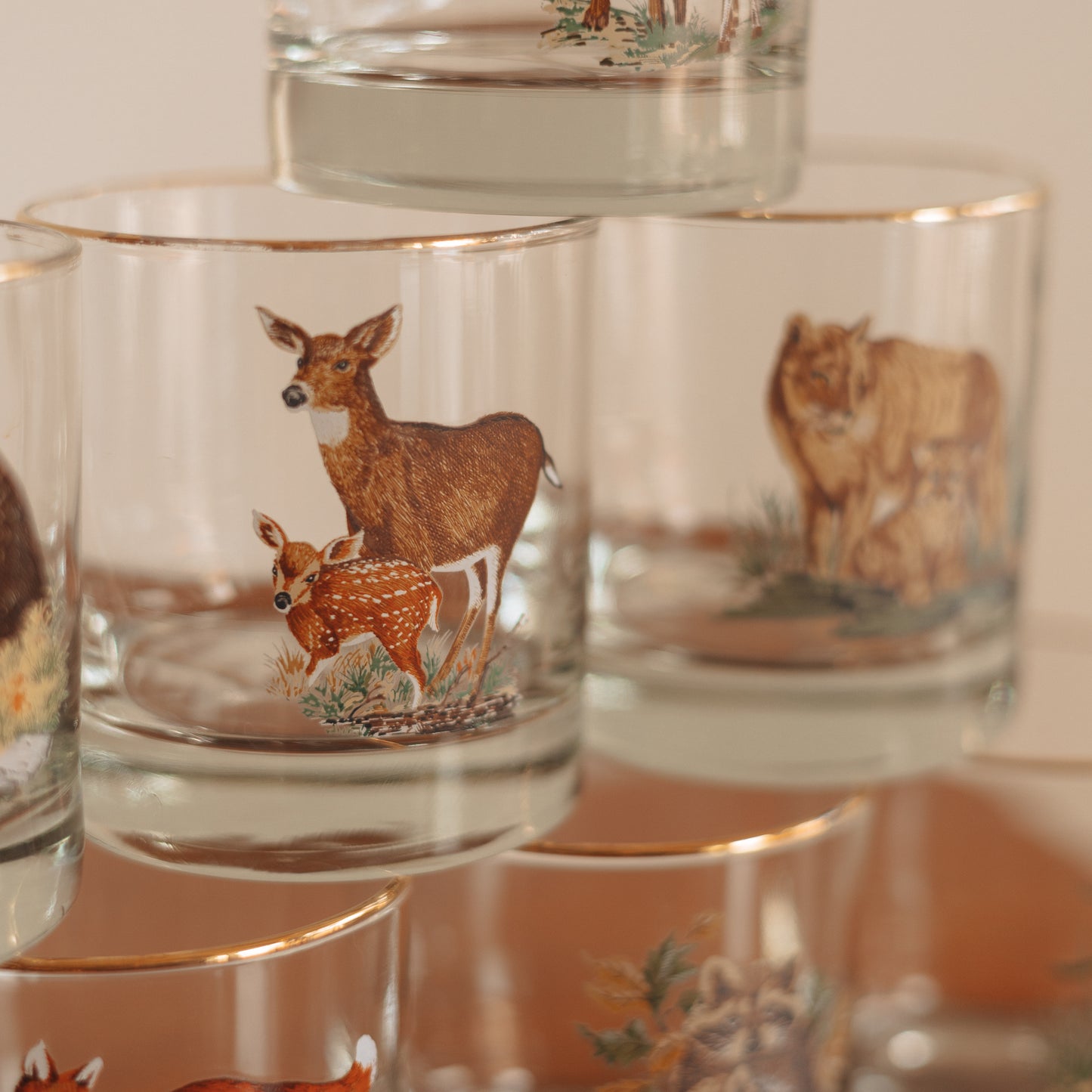 Vintage 'Wild Creatures' On the Rocks Glasses, Set of 8