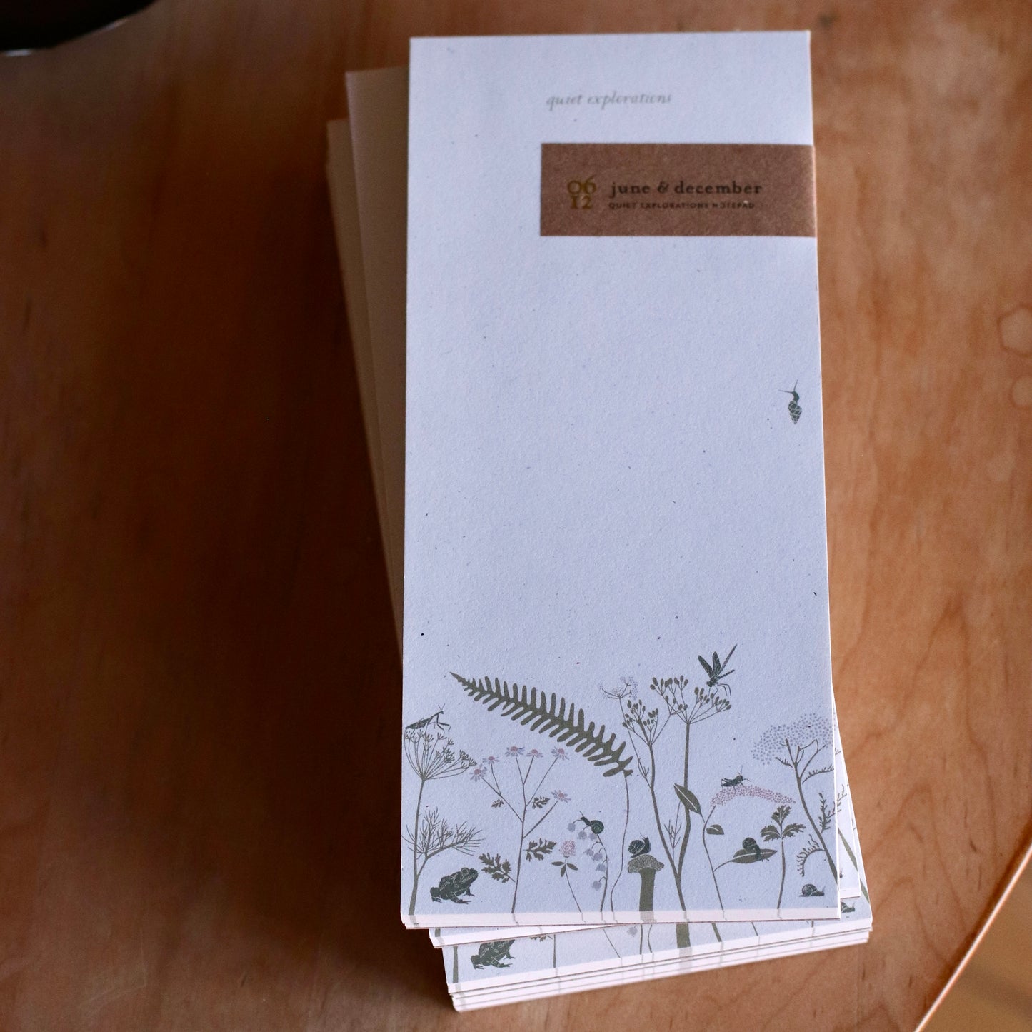 June & December | Notepad, Quiet Explorations