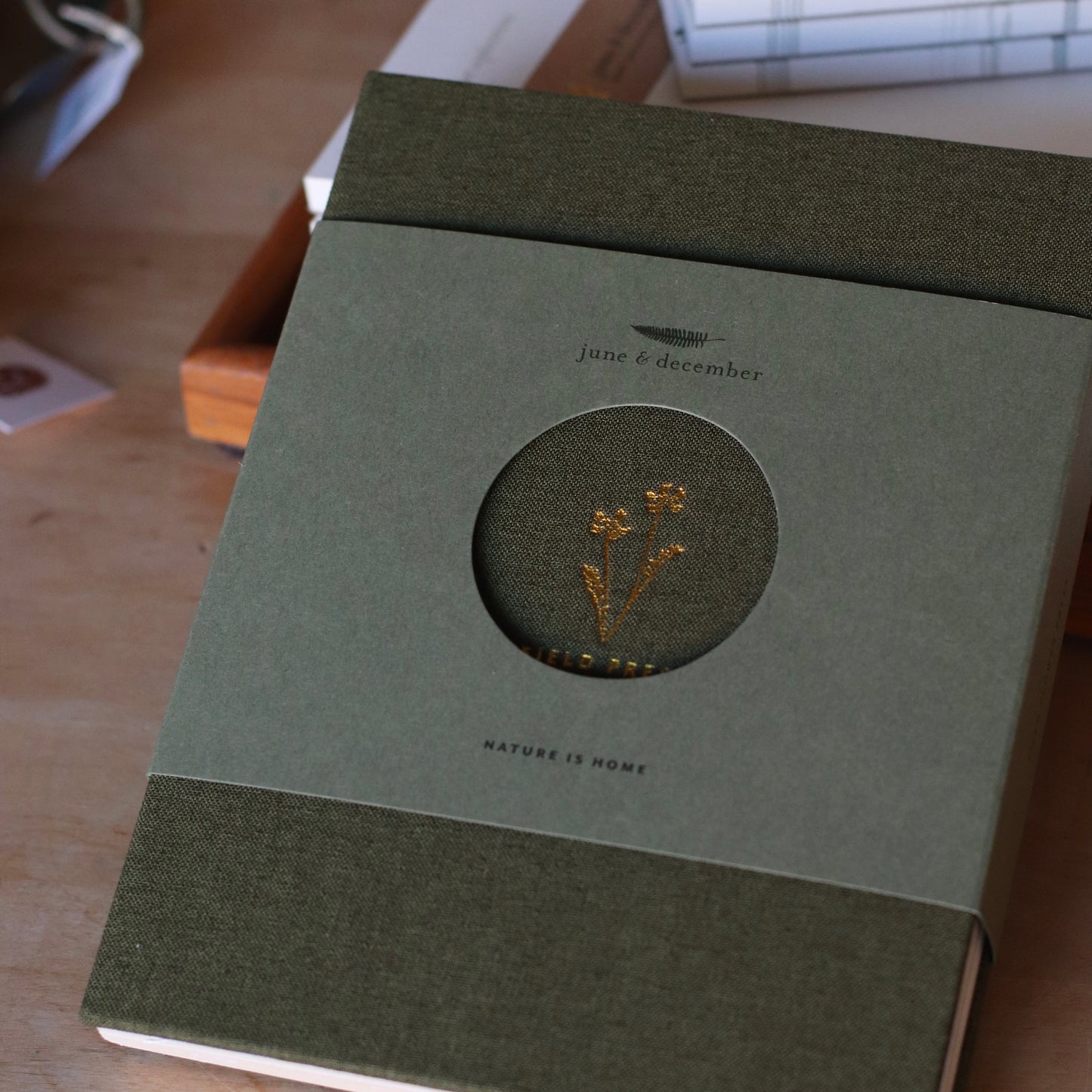 June & December | Field Guide Flower Press