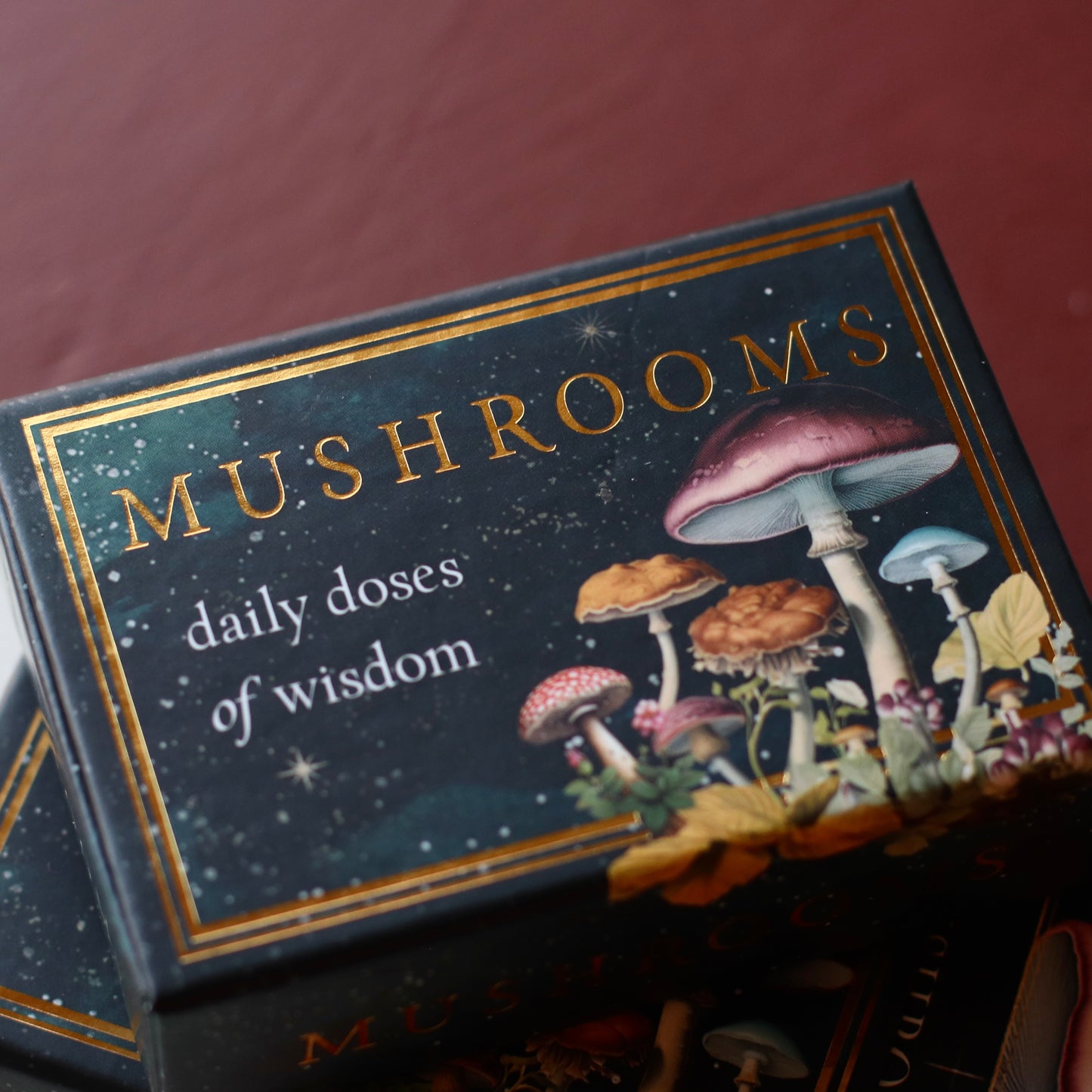 Red Wheel Weiser | Mushrooms: Daily Doses of Wisdom