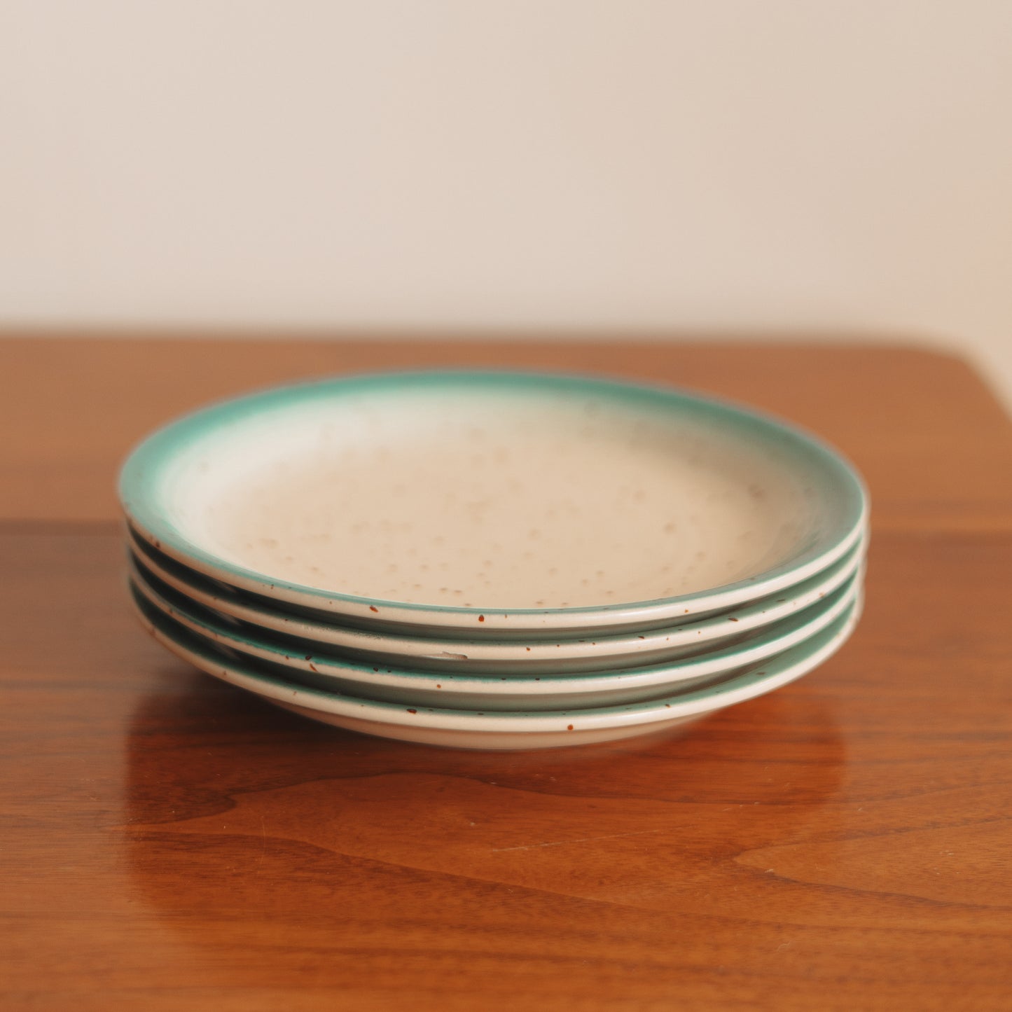 Speckled Salad Plate with Turquoise Rim, Set of 4