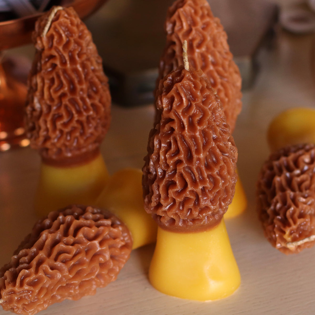 The Wax Pantry  | Morel Mushroom