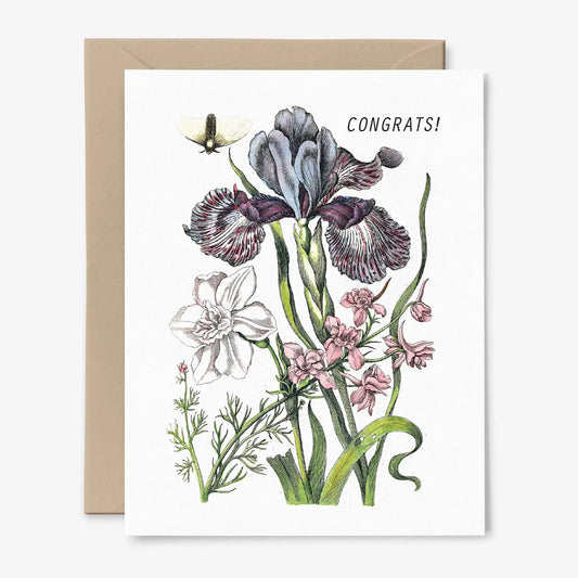 Hemlock House | Botanical Iris Congratulations Card
