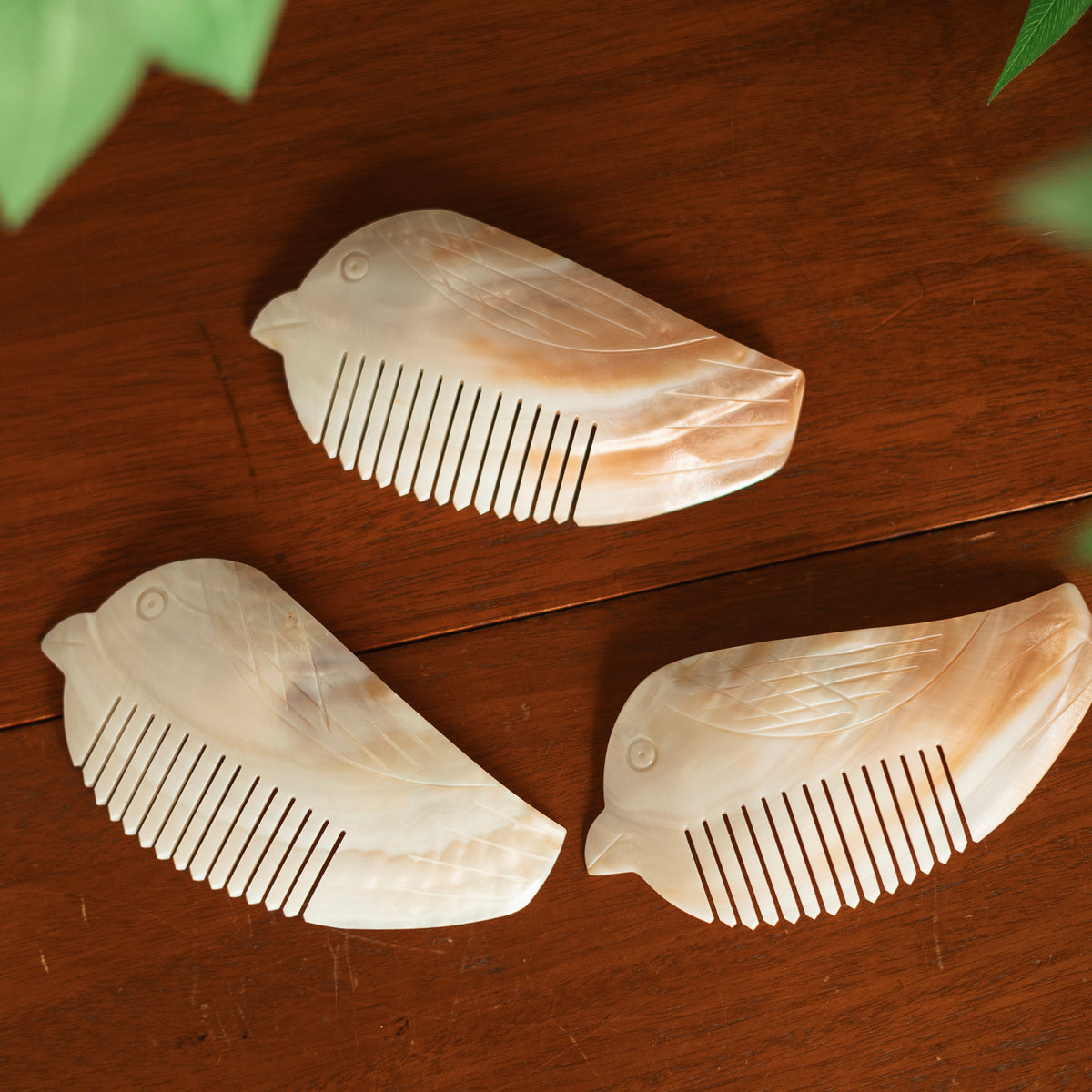 Dune Accessories | Shell Bird Comb