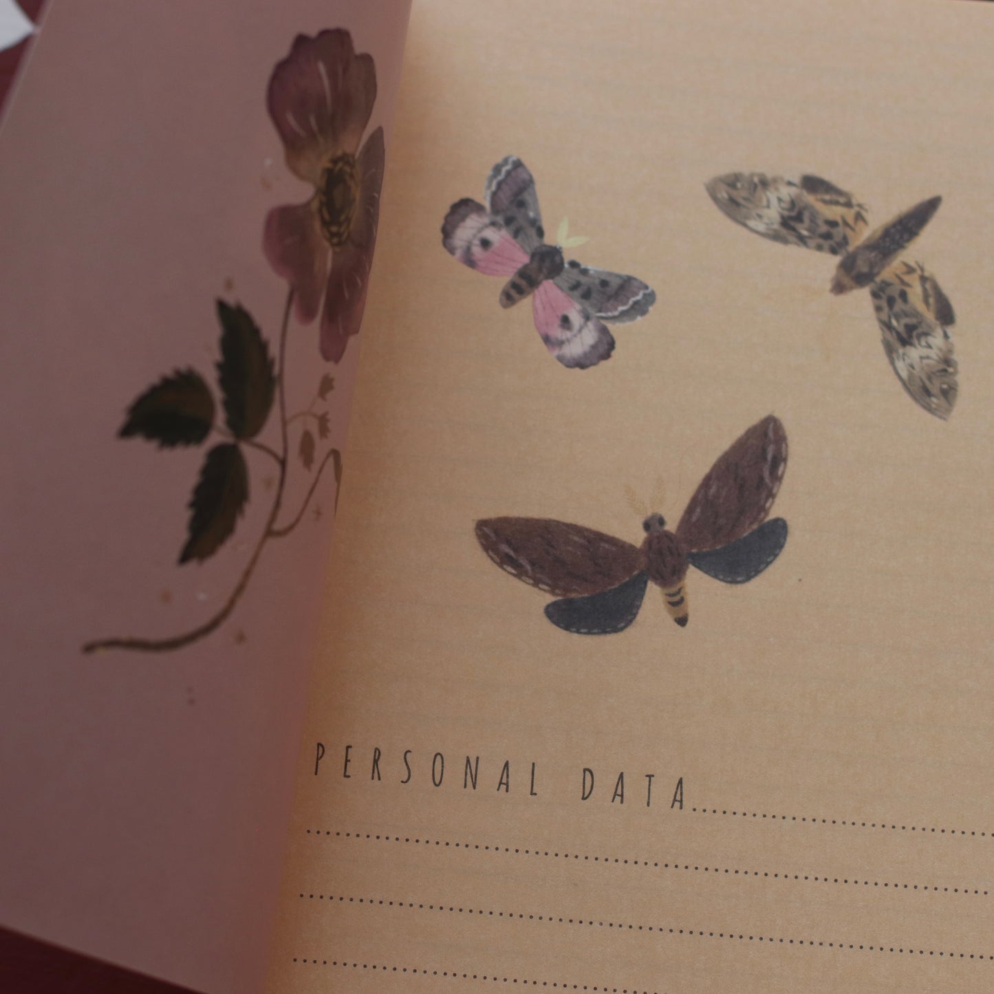 Dune Stationary | Butterflies and Night Friends Notebook