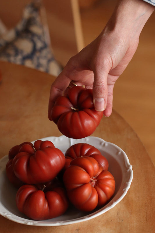 The Wax Pantry  | Heirloom Tomato Beeswax Candle