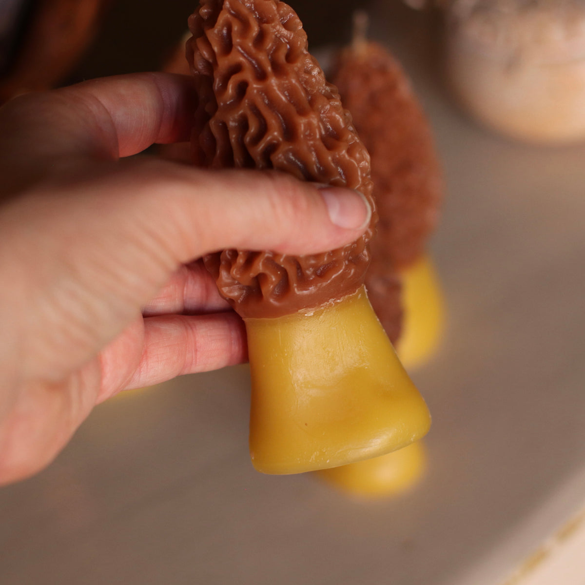 The Wax Pantry  | Morel Mushroom