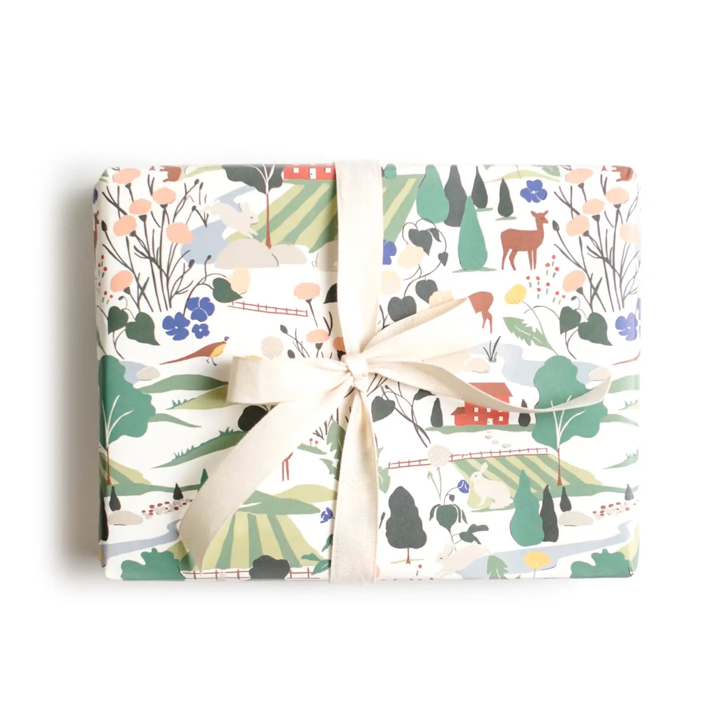 Amy Heitman | Rabbit Hill Gift Wrap