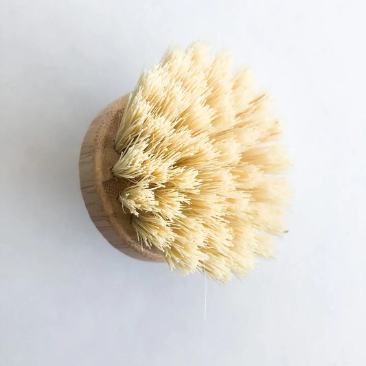 Smile Boutiques | Replacement Head for Natural Bamboo Pot and Dish Brush