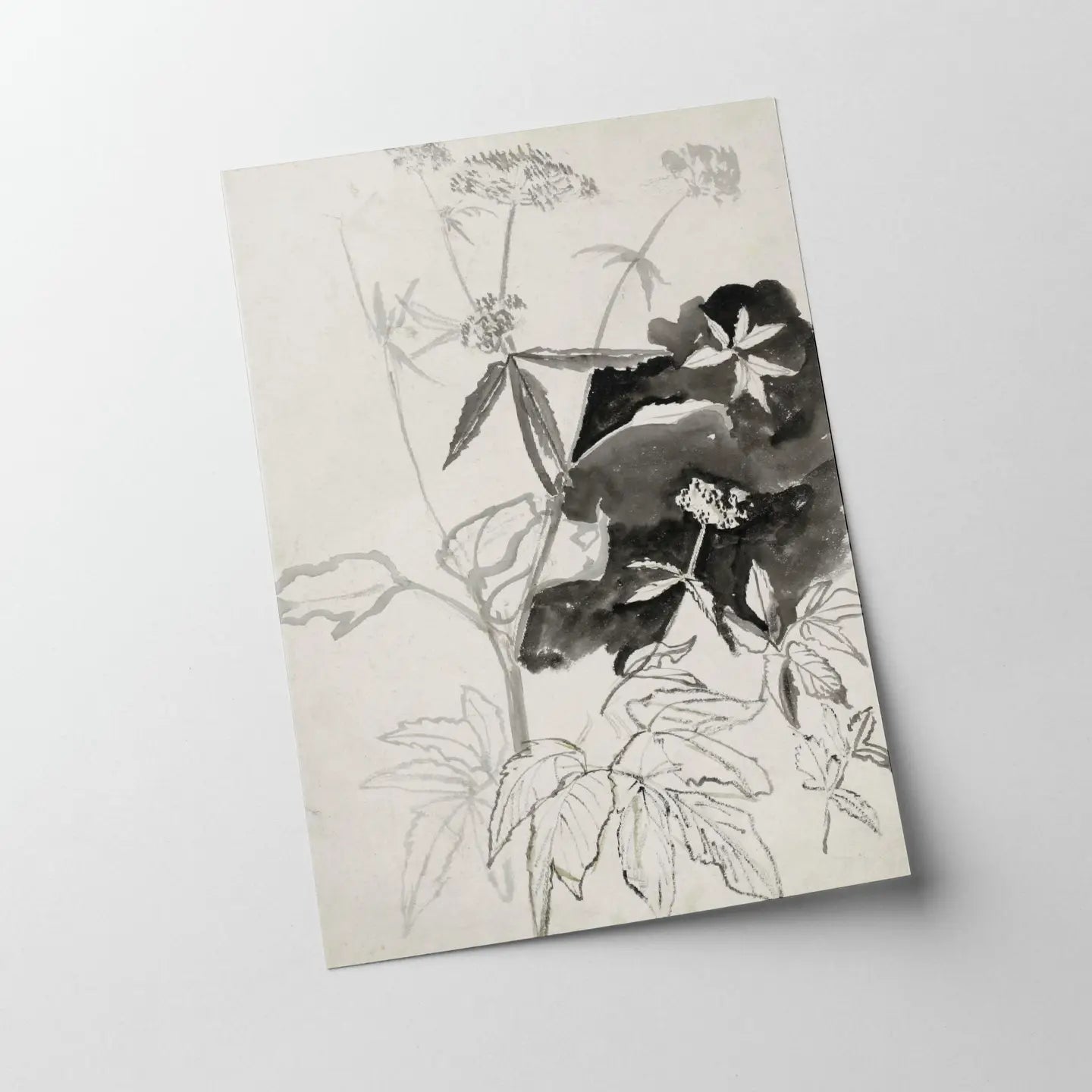 Knot & Soul | Vintage Flower Sketch Print, 8x10