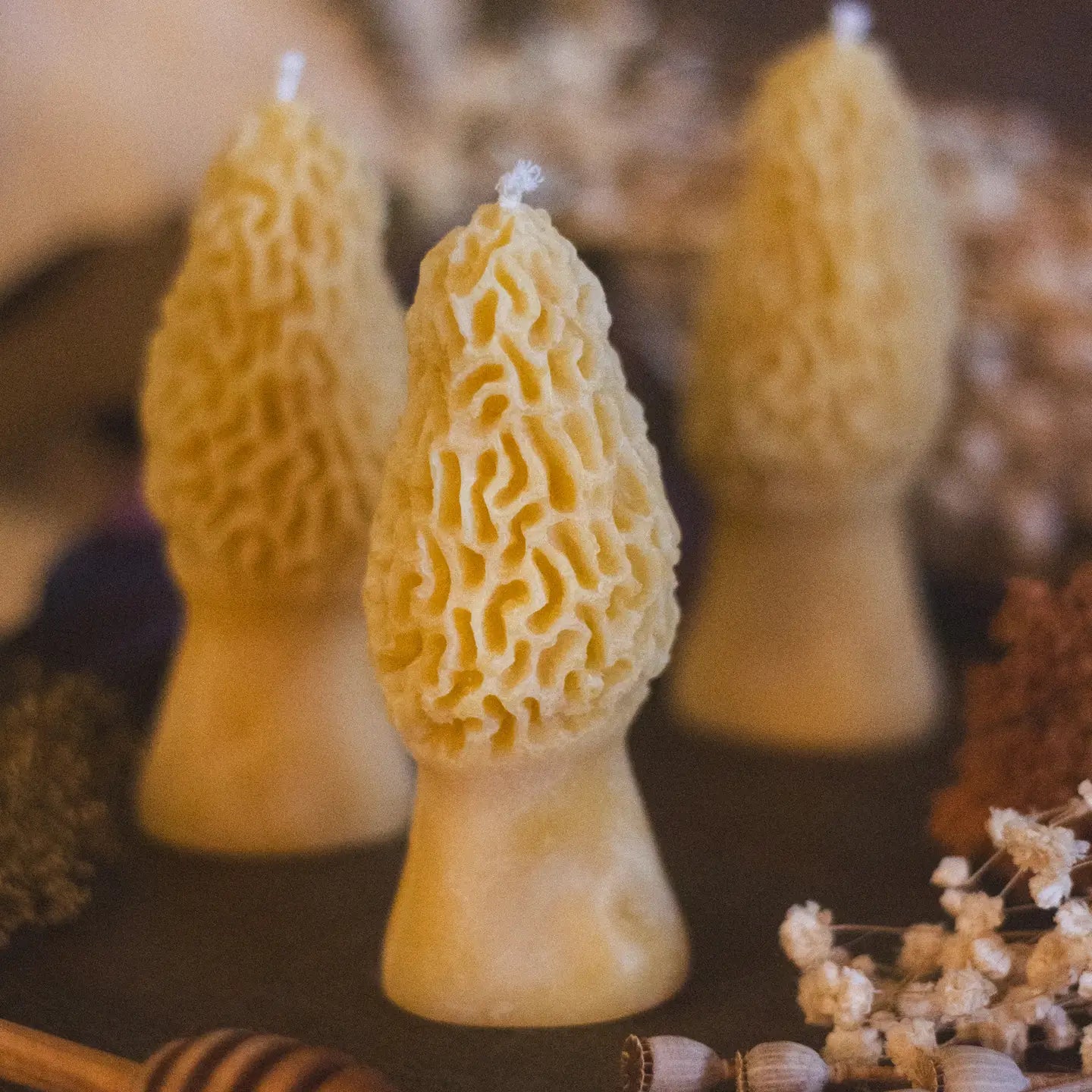 The Rambling Bee | Morel Mushroom Beeswax Candle