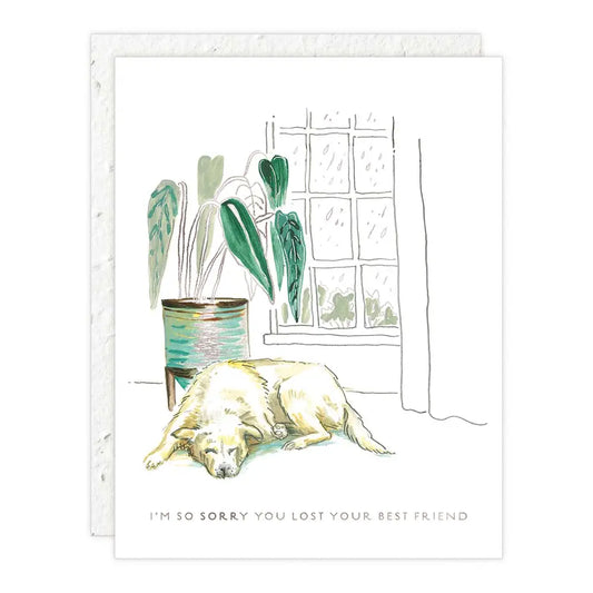 Seedlings | I'm So Sorry You Lost Your Best Friend, Pet Sympathy Card