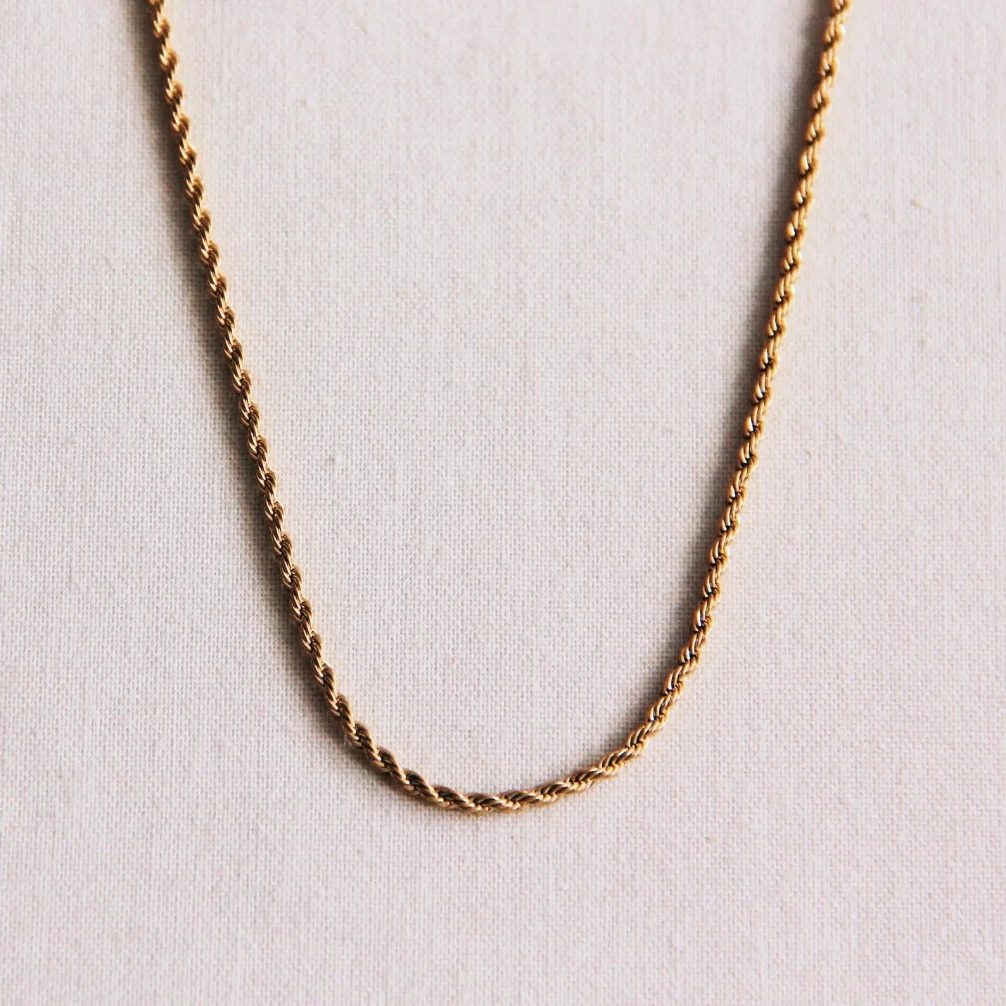 Bazou | Stainless Steel Fine Twisted Necklace