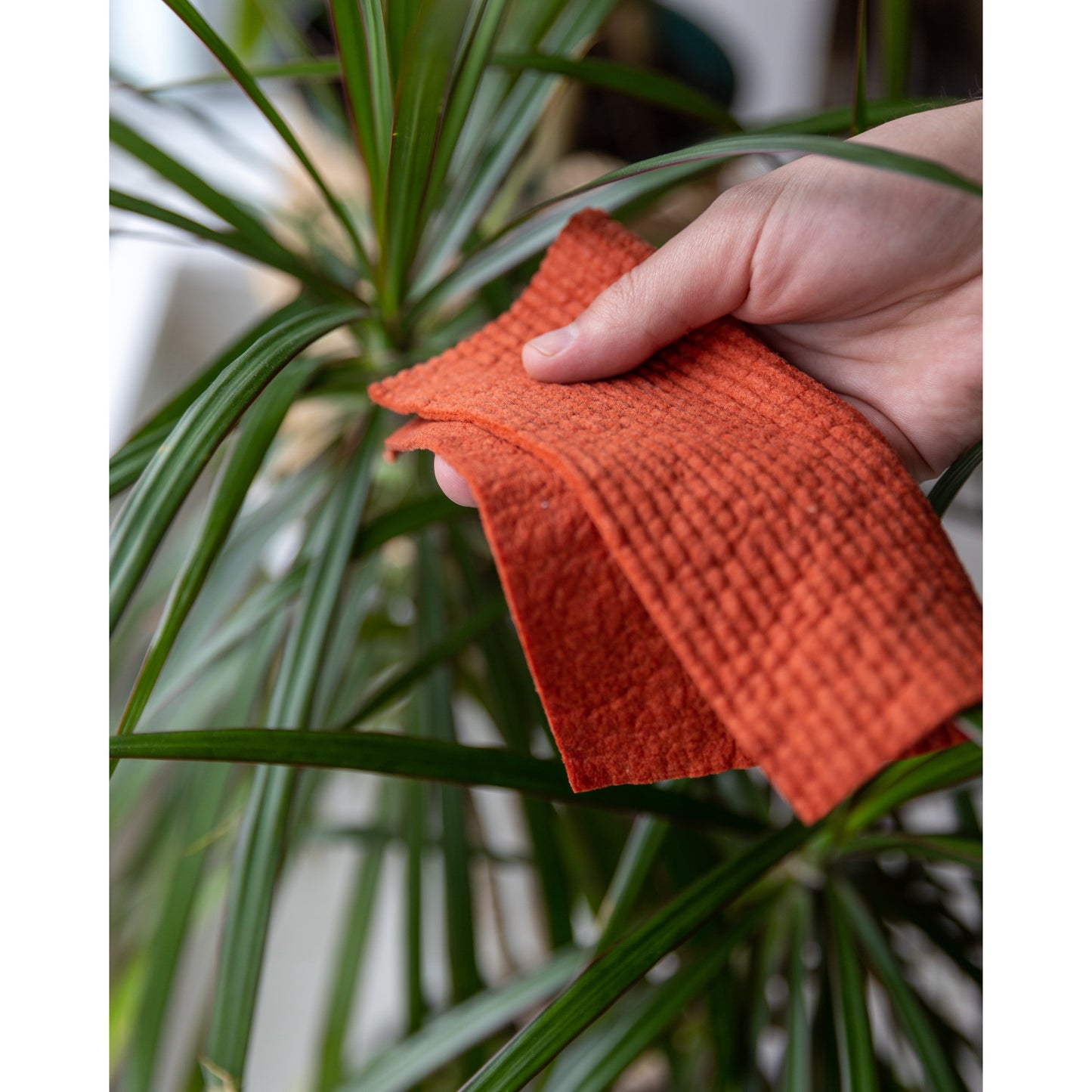 Ecologie Danica | Rust and Blue Sky Dishcloth, Set of 2