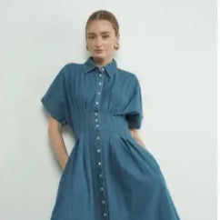 Aaron and Amber | Denim Button Front Pleated Dress