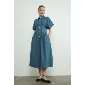 Aaron and Amber | Denim Button Front Pleated Dress