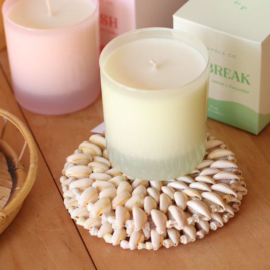 Cowrie Sea Shell Trivet