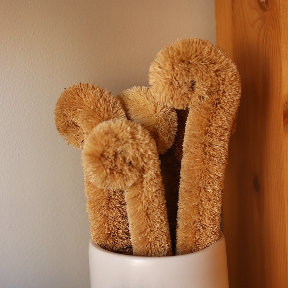 Me Mother Earth | Coconut Fiber Bottle Brush Cleaner