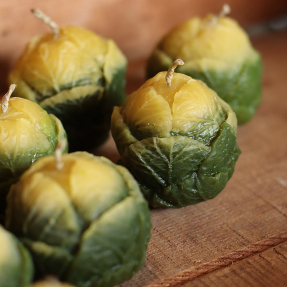 The Wax Pantry  | Brussel Sprout Bees Wax Candle