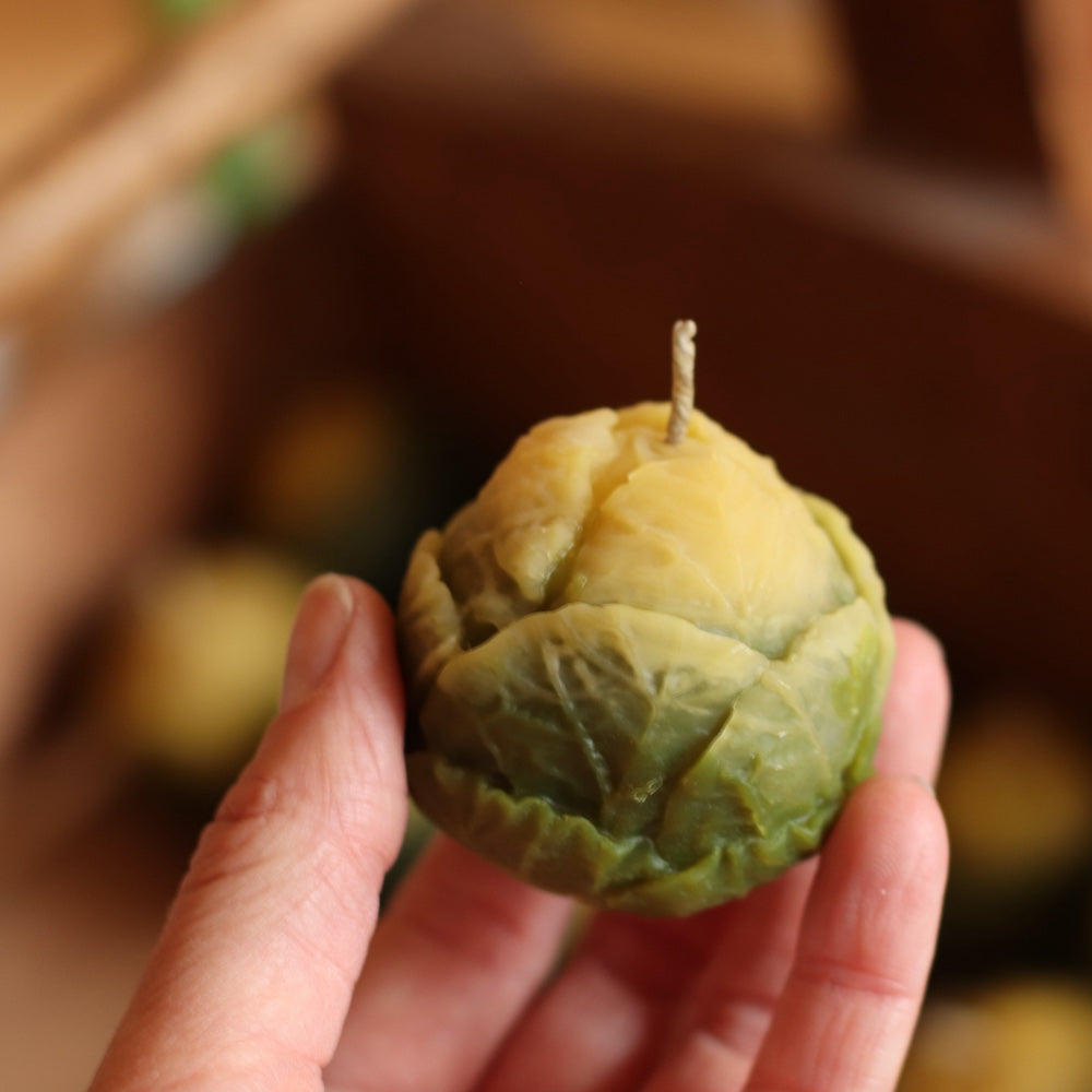 The Wax Pantry  | Brussel Sprout Bees Wax Candle