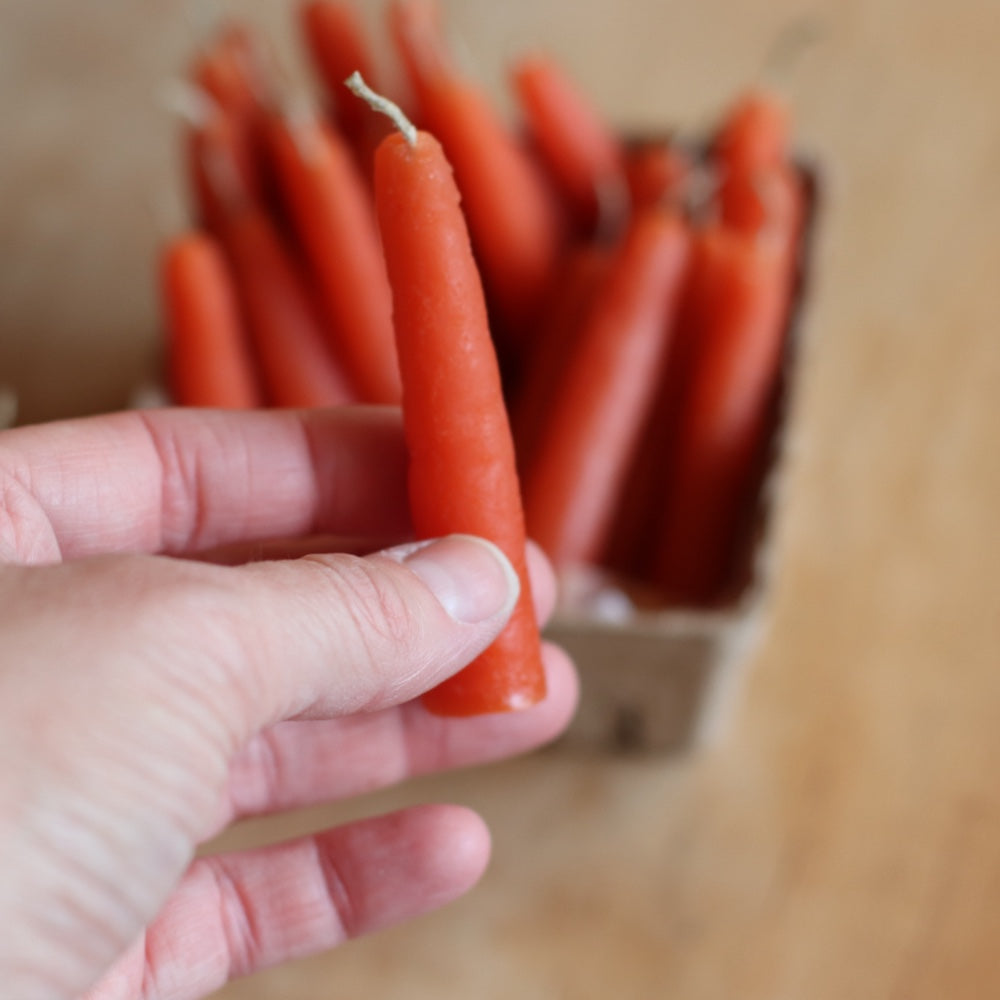 The Wax Pantry  | Mini Carrot Birthday Candles, Bees Wax
