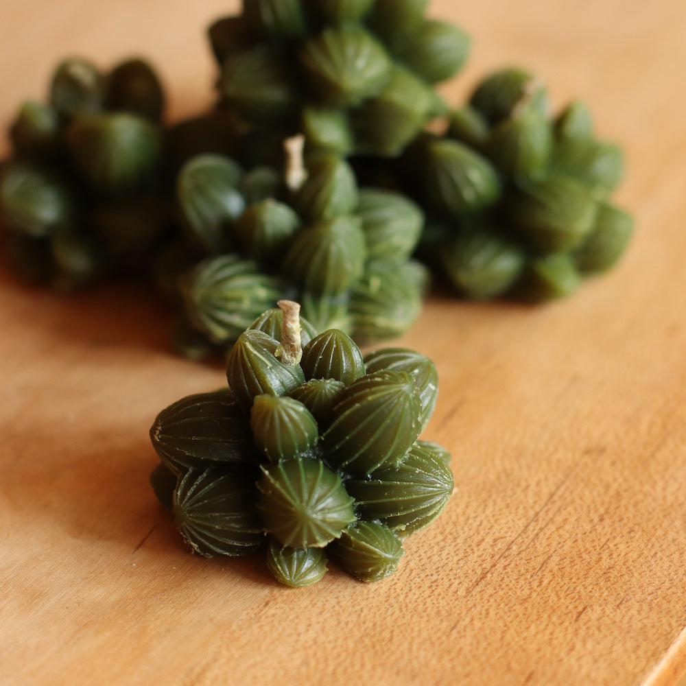 The Wax Pantry  | Mini Cactus Beeswax Candle