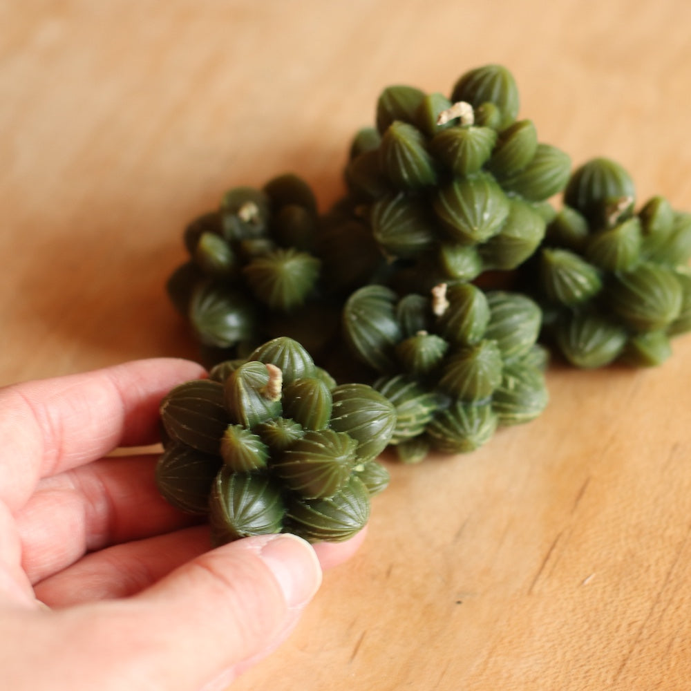 The Wax Pantry  | Mini Cactus Beeswax Candle