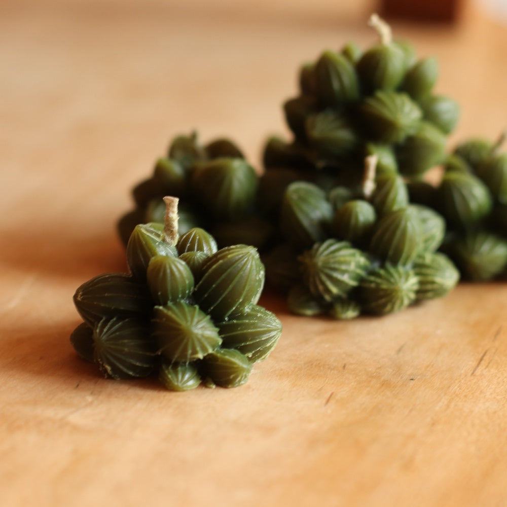 The Wax Pantry  | Mini Cactus Beeswax Candle
