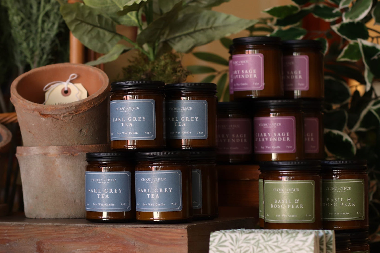 Jars of tea with labels on a wooden surface surrounded by plants