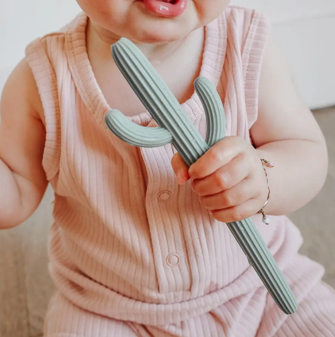 Ed & Co | Silicone Cactus Teether Toy, Sage