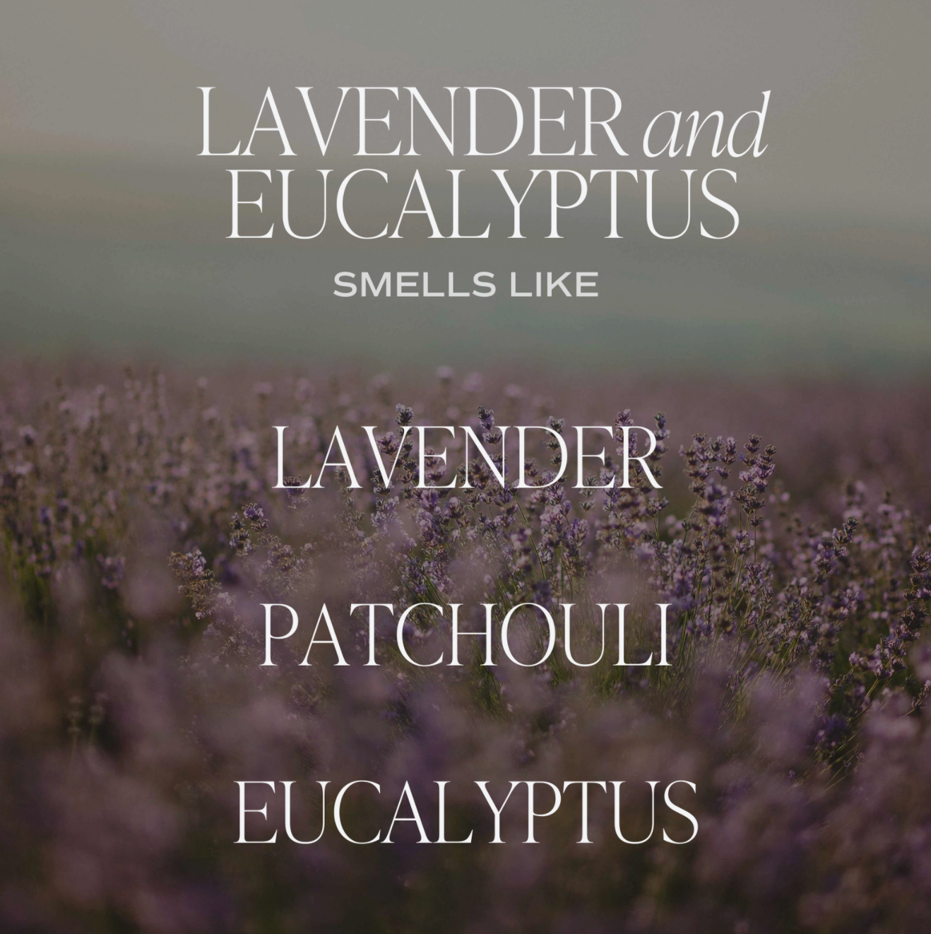 Sweet Water Decor | Lavender & Eucalyptus Candle