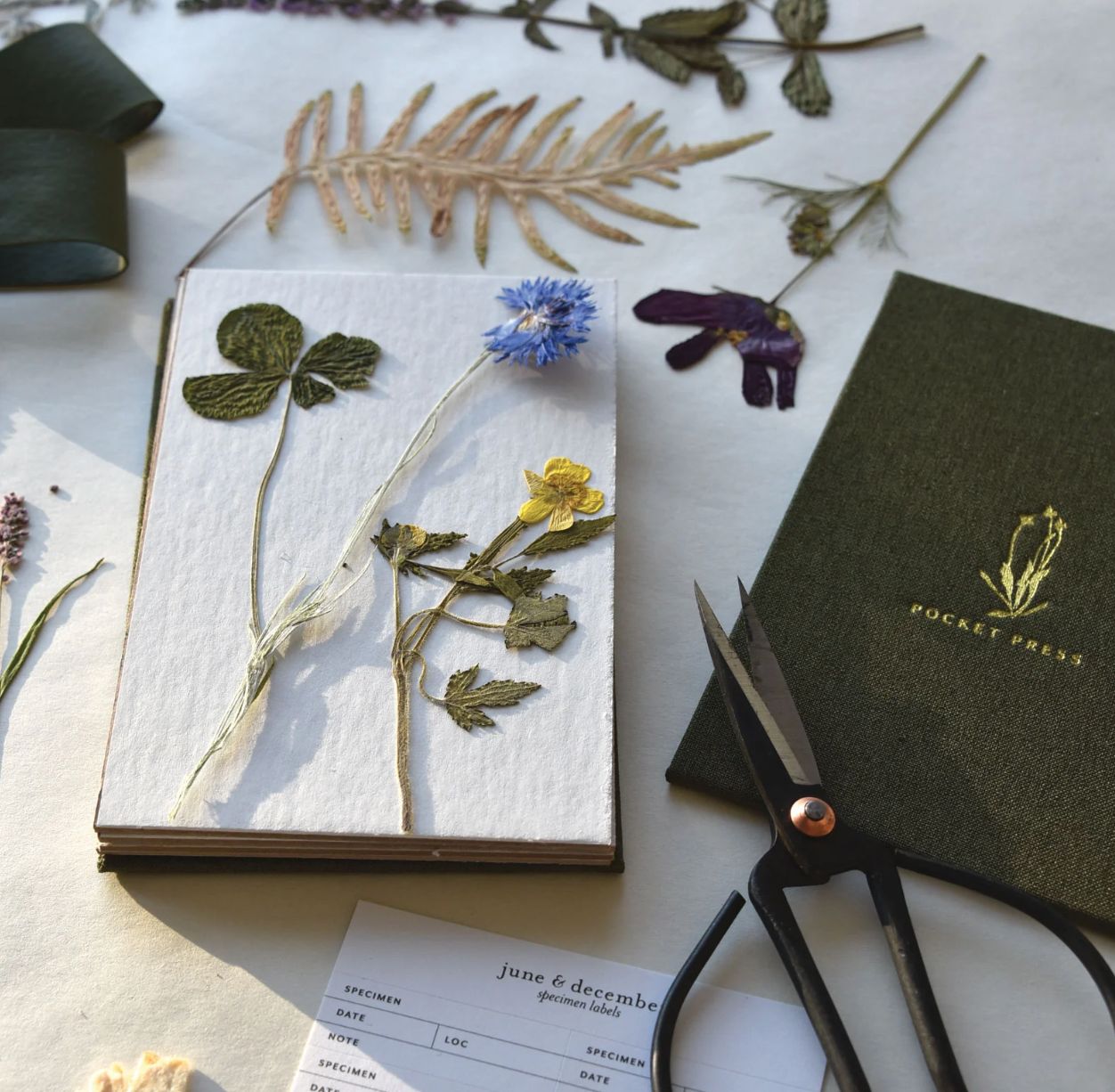 June & December | Pocket Flower Press