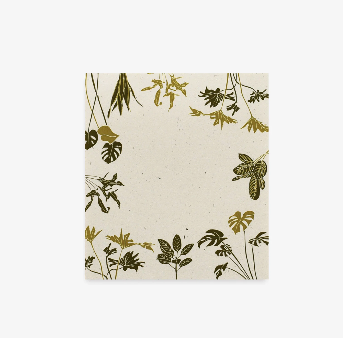 June & December | Mini Notes, Rainforest