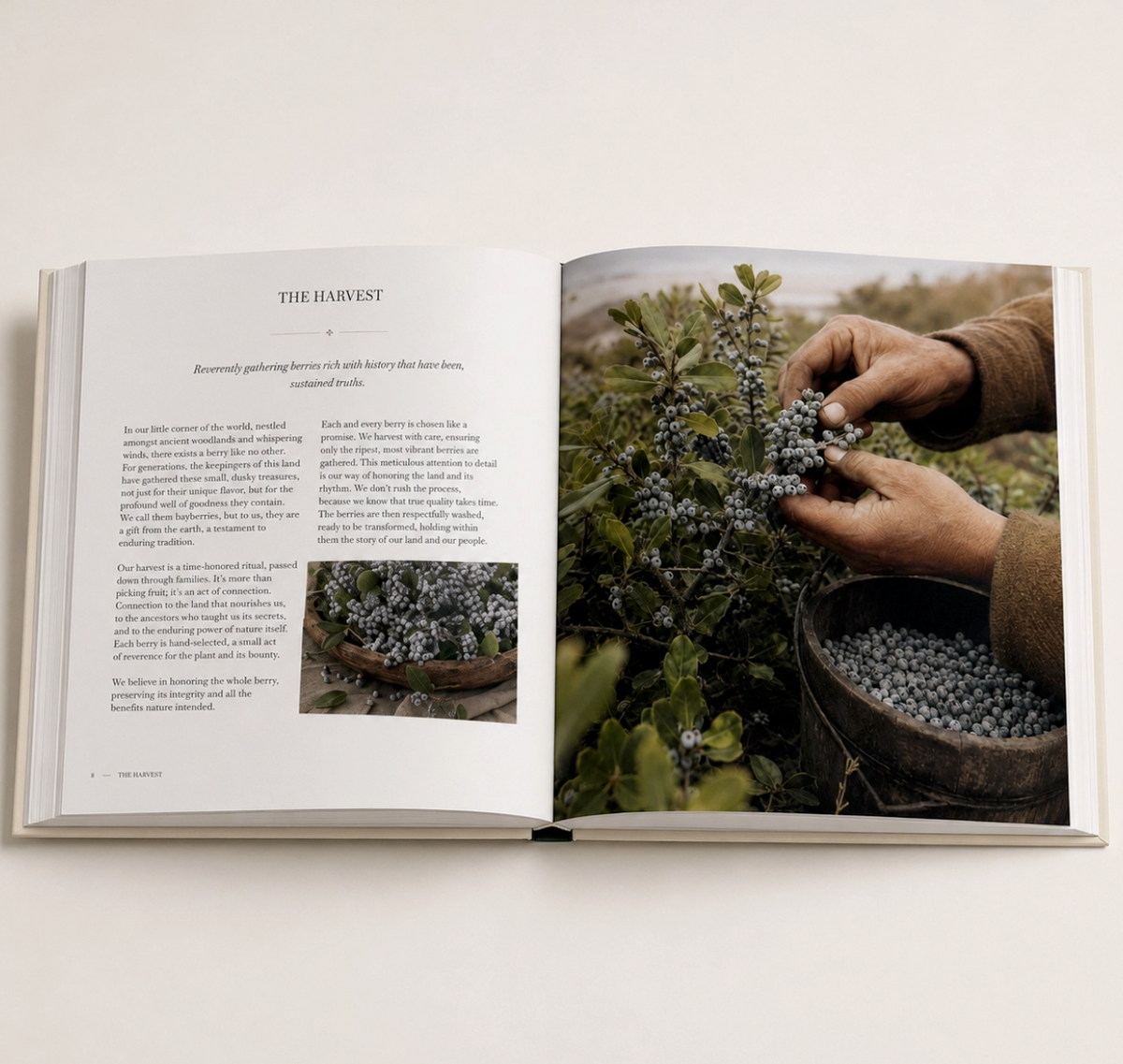 Burned to the Socket | America's Bayberry Candle Tradition