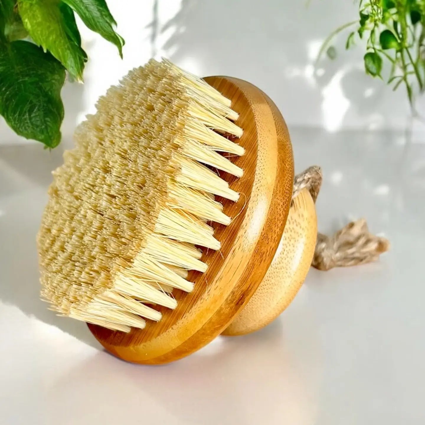 Bamboo Switch | Dry Body Brush