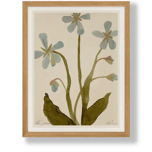 Cocoshalom | Blue Geranium, 11 x 14 Print