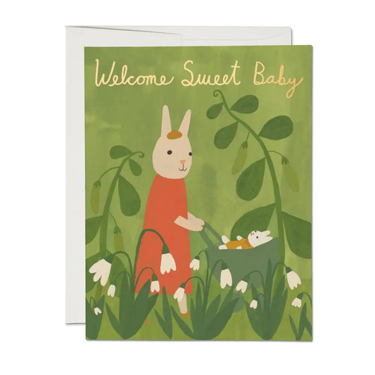 Red Cap Cards |  Sweet Bunny Baby Greeting Card